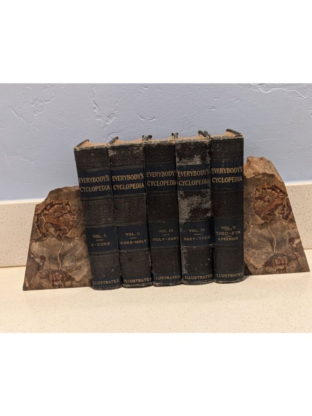Petrified Wood Bookends Fossilized Tree Rings Natural Mineral Patterns 6" Rustic - Picture 9 of 16